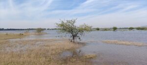 MPCB directs Kapurwadi Grampanchayat in Ahilyanagar to protect migratory bird sanctuary lake
