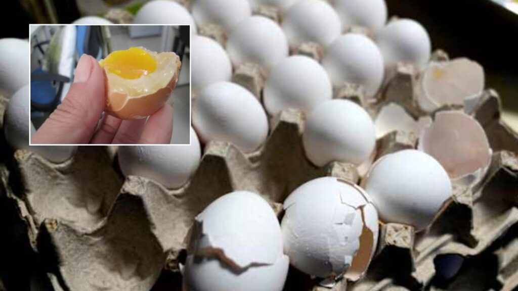 Real Egg vs Fake Egg: Simple Ways to Check Egg Authenticity Without Cracking Them