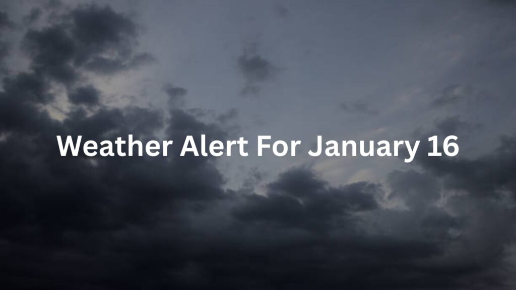 Weather Alert For January 16: Wind Pattern Shifts Across Maharashtra; Next 24 Hours Crucial, IMD Issues Advisory