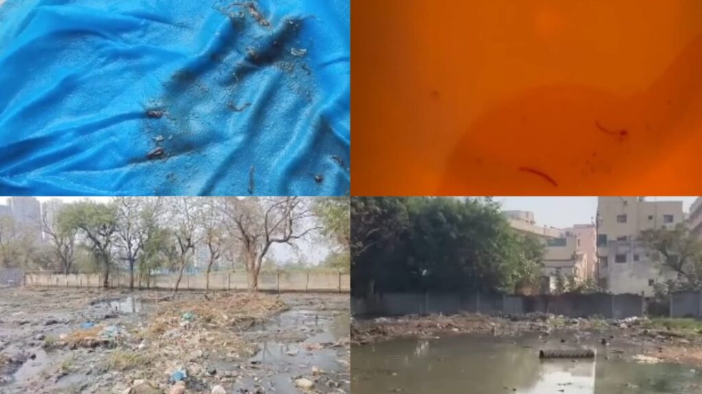 Pune: PMC Under Fire After Larvae Found In Drinking Water In Prabhag 41 Mahadevwadi Undri 