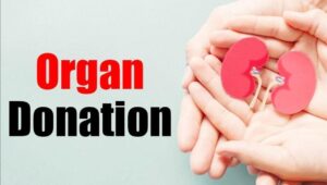 ZTCC Pune Records Landmark Achievement In Organ Donation And Transplantation In 2025