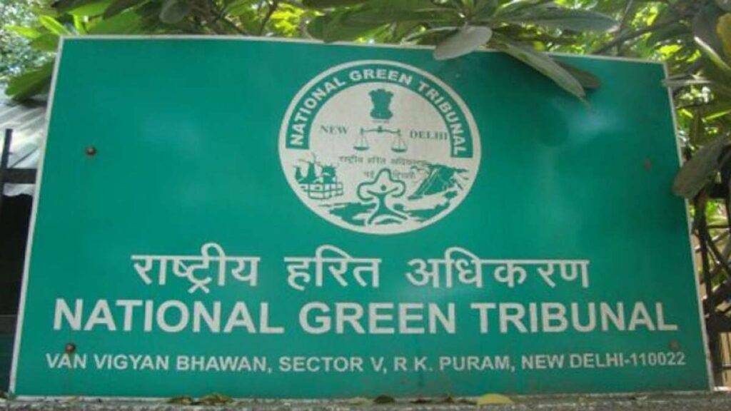 Nashik Sadhugram: National Green Tribunal Extends Ban On Tree Felling In Tapovan Until April 6