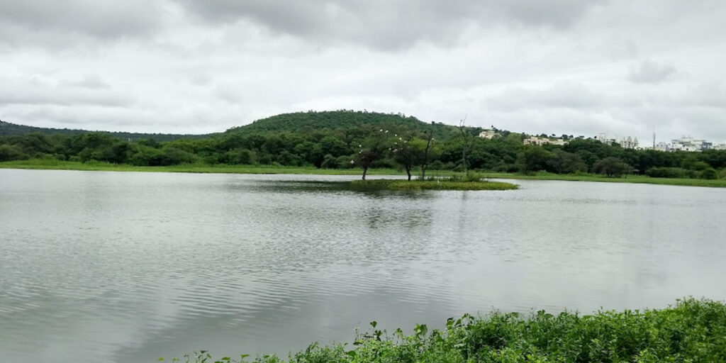 Pune: PMC To Launch Desilting Drive At Katraj, Jambhulwadi And Pashan Lakes