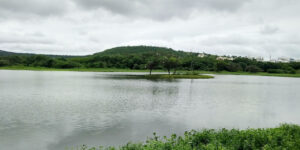 Pune: PMC To Launch Desilting Drive At Katraj, Jambhulwadi And Pashan Lakes