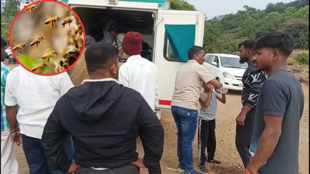 Terrifying Bee Attack During Trek in Pune’s Madheghat Leaves 50 Students Injured, Two Critical