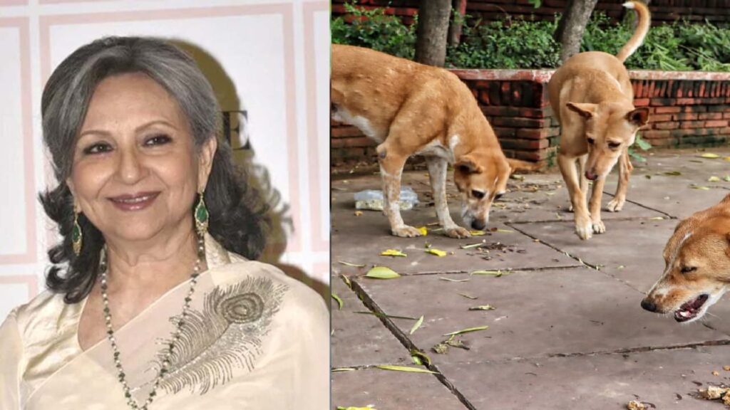 ‘Completely Devoid From Reality’: Supreme Court Rebukes Sharmila Tagore’s Plea on Stray Dogs