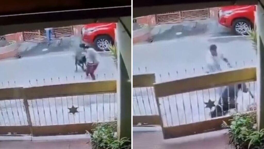 Viral CCTV: Woman Brutally Attacked by Neighbour’s Pet Dog During Morning Walk, Requires 50 Stitches