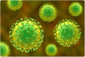 Nipah Scare Deepens in Bengal as Pune Lab Confirms Infection in Two Nurses; Over 120 Contacts Isolated