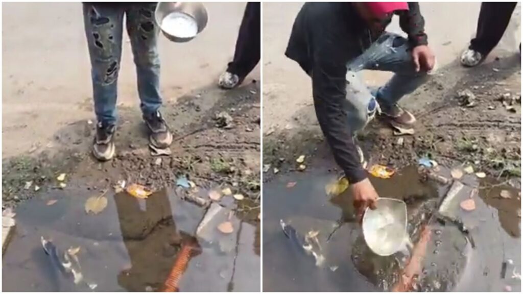Mumbai Fruit Seller Caught Using Gutter Water on Fruits, Drinks It When Confronted by Locals in Virar
