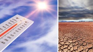 Weather Alert for Maharashtra For February 6: Next 24 Hours Crucial as Heat and Dry Conditions Intensify