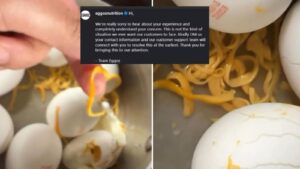 “Plastic Instead of Yolk?” Eggoz Eggs Row Sparks Online Debate, Company Reacts