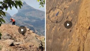 Pune IT Engineer Dies After Allegedly Jumping Into 250-Foot Gorge at Lonavala’s Lions Point; Emails Hint at Mental Stress