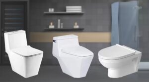 Wall-Mount Commode vs Indian Toilet Seat Compared