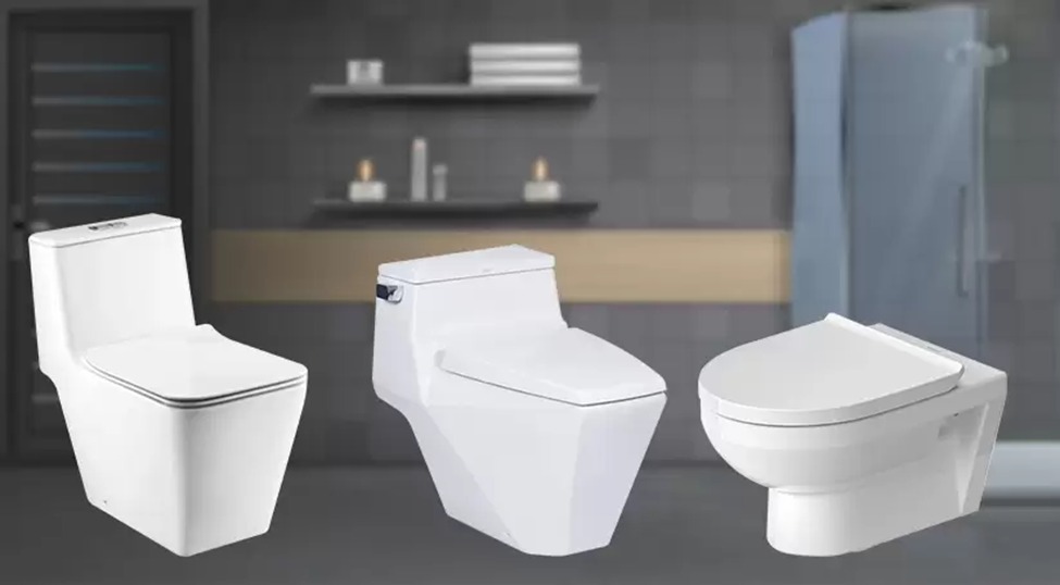Wall-Mount Commode vs Indian Toilet Seat Compared