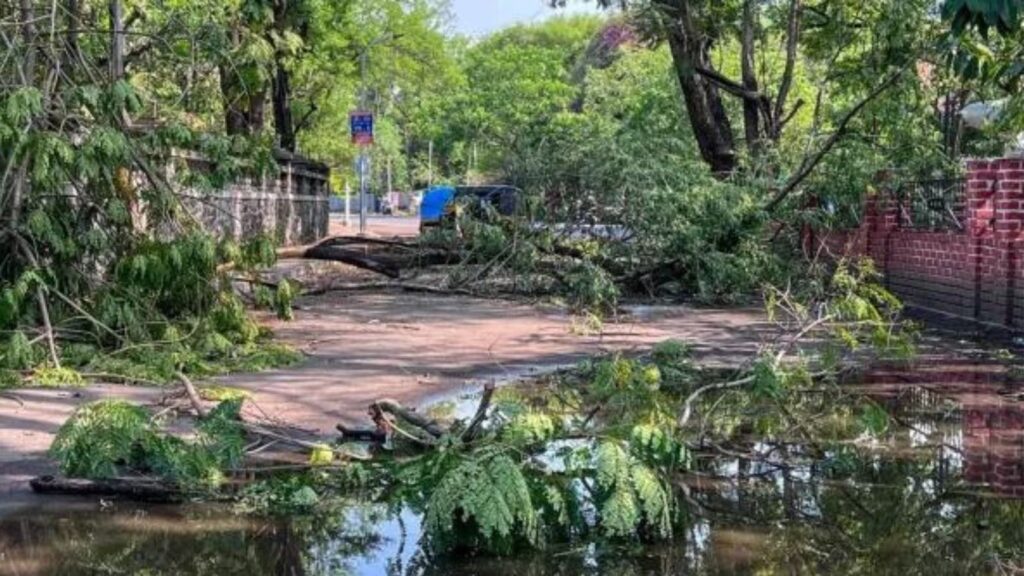 Pune News: Motorcyclist Seriously Injured After Rope Set Up For Tree Pruning Slits Throat In Karve Nagar