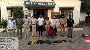 Pune: Junnar Forest Officials Nab Civet Cat And Soft-Shell Turtle Poacher In Raigad
