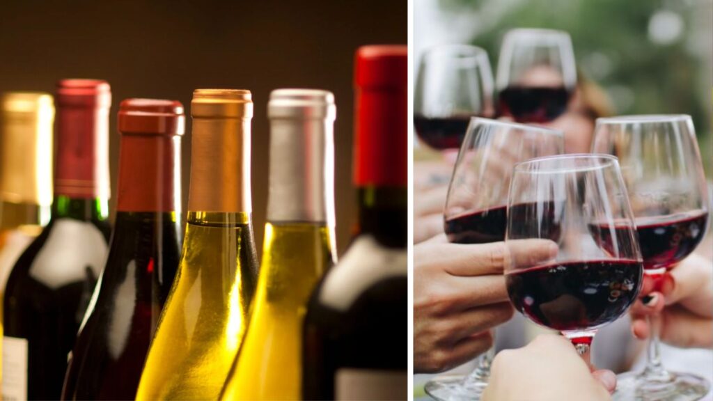 Expensive Alcohol vs Cheap Liquor: Does Price Really Affect Intoxication and Hangovers?