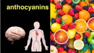 Why a Colourful Plate Could Be the Secret to a Happier Gut, Says Doctor