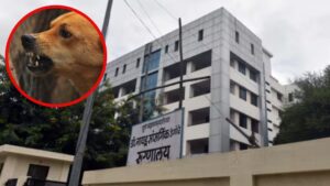 Pune: 33 Year Old Man Succumbs To Rabies Three Months After Stray Dog Bite Despite Vaccination