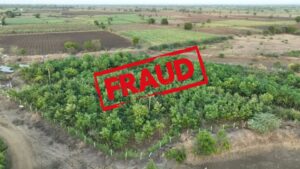 Pune: ₹11.61 Lakh Fraud Reported In Fake PCMC Tree Plantation Tender Case 