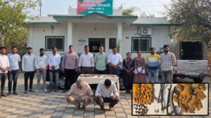 Pune: Major Action By Junnar Forest Division Against Illegal Trafficking Of Pangolin Scales And Sambar Antlers