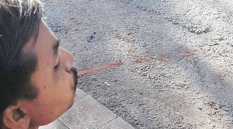 Spitting, Littering and Other Public Nuisances to Cost Citizens Hefty Fines as BMC Tightens Cleanliness Rules