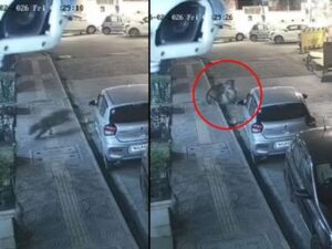 Leopard Spotted In Mulund Sparks Panic After Viral Video Shows Stray Dog Attack