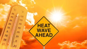 Heatwave Alert in Maharashtra For April 12: Temperatures Likely to Touch 40°C, Weather Department Issues Warning
