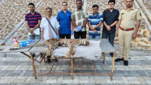 6-Year-Old Leopard ‘Bittu’ Dies After Prolonged Kidney Illness at Sanjay Gandhi National Park