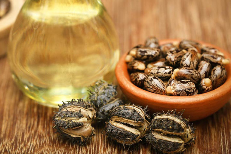 5 Lightweight Hair Oils That Support Healthy Hair Growth During Summer