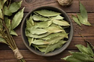 Grow Fresh Bay Leaves at Home: A Complete Guide to Planting and Caring for Tejpatta in Your Balcony