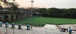 Pune: Delay In Water Hyacinth Removal Near Holkar Bridge Raises Health Concerns