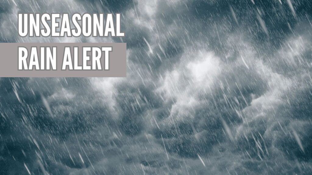 Maharashtra Weather Update: Relief After Unseasonal Rains; Dry Conditions Likely, Yellow Alert For Vidarbha 