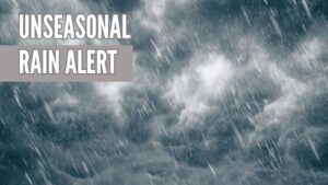 Maharashtra Weather Update: Relief After Unseasonal Rains; Dry Conditions Likely, Yellow Alert For Vidarbha 