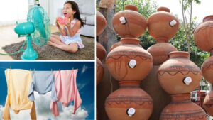 Smart & Sustainable Ways to Keep Your Home Cool Without Relying on AC