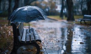Weather Alert in Maharashtra: Unseasonal Rain Likely on March 15; IMD Issues Yellow Alert for Several Districts
