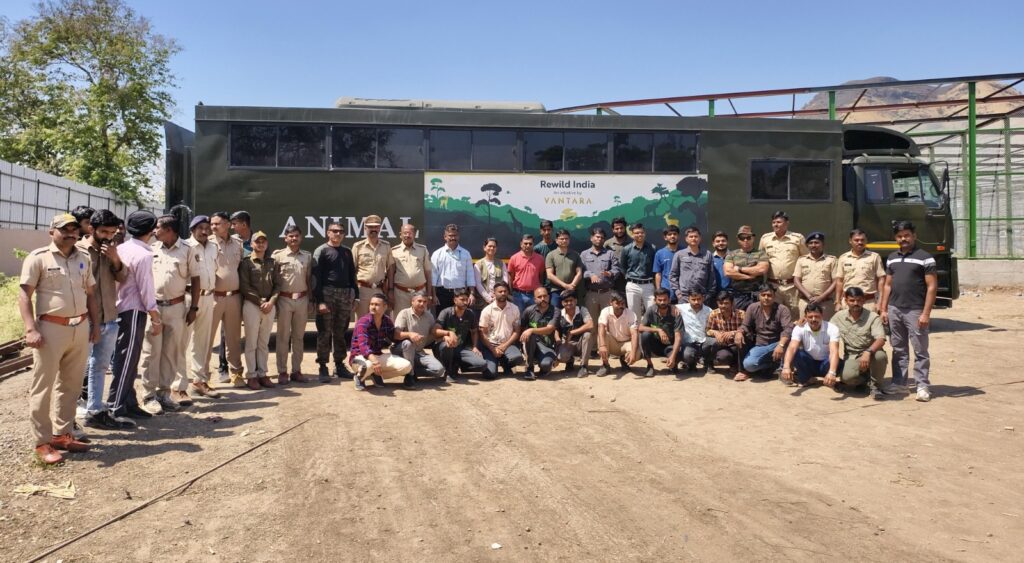 Pune: 20 Leopards Relocated From Junnar’s Manikdoh Rescue Centre To Gujarat’s Vantara Facility