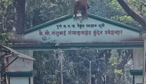 Israel-Iran War Impact: Gas Shortage Forces Closure Of Pune’s Gas Crematoriums