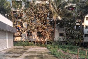 Pune: PMC Slaps ₹1 Lakh Fine On Paranjape Scheme After Citizens Exposed Untreated Sewage Discharge In Dhayari