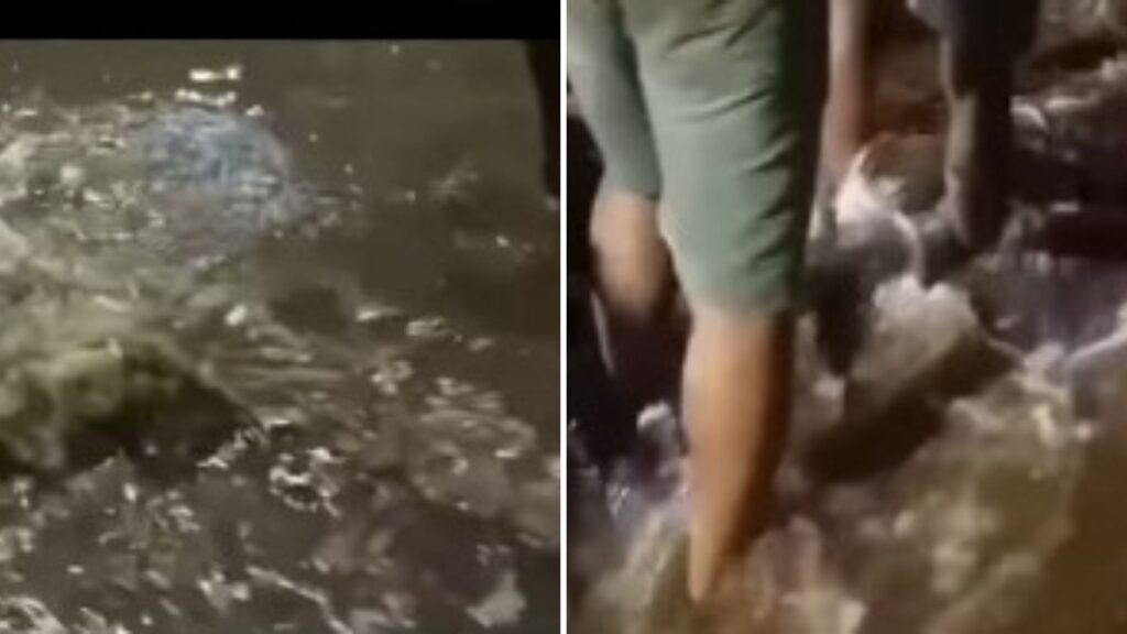 Pune: Canal Overflow Floods Parts of Manjari Budruk, Water Enters Homes Triggering Panic