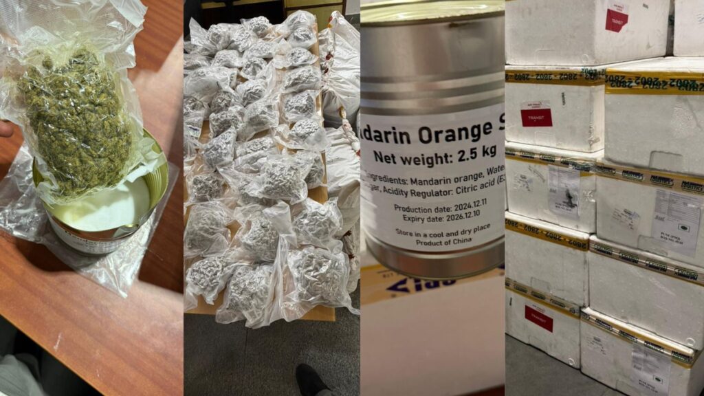 Pune Airport Customs Seize Hydroponic Marijuana Worth ₹26.8 Crore Hidden In ‘Food’ Shipment