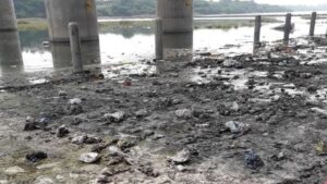 Vishnupuri dam 100% full, yet Nanded reels under water shortage; Human Rights panel steps in