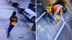 Pune: Flipkart Delivery Boy Sparks Outrage After Spitting Gutkha on Car in Posh Society