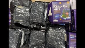 ₹8.71 Crore Hydroponic Marijuana Seized At Pune Airport; Five Arrested
