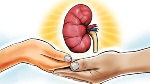 Maharashtra Expands Free Dialysis Network with 12 New Centres