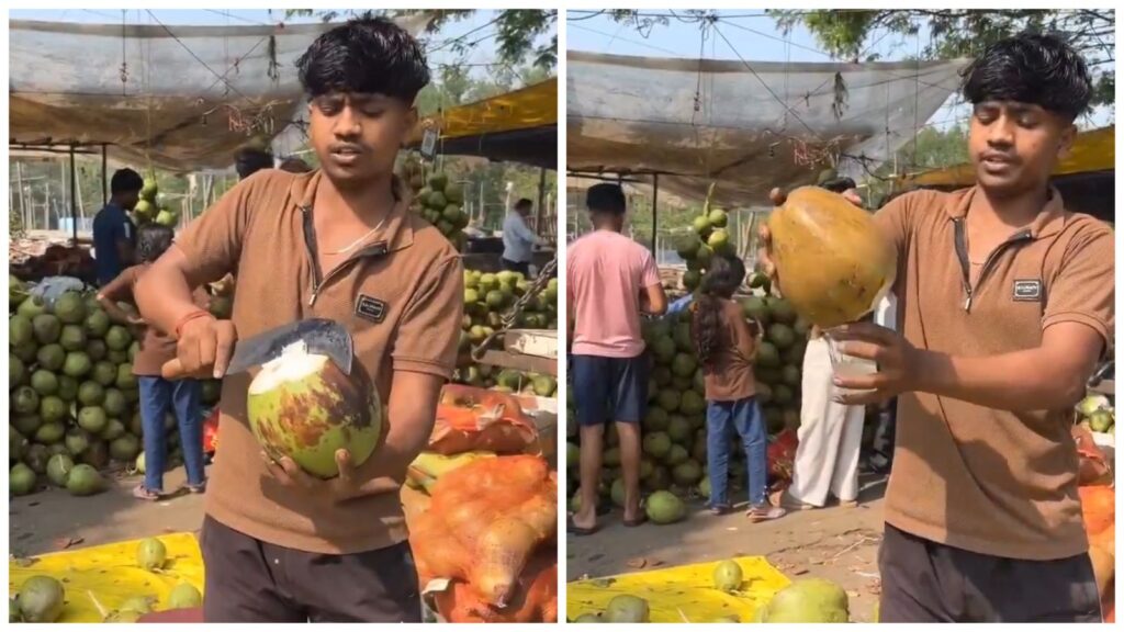 Watch Video: 4 Simple Hacks to Pick a Coconut Full of Water