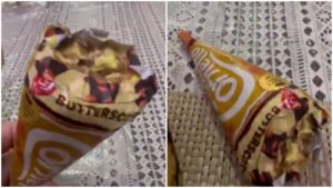 Blinkit Under Fire After Customer Alleges Receiving Partially Eaten Ice Cream