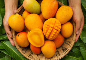 World’s Most Expensive Mango: Costs as Much as a Luxury Bike Per Kg