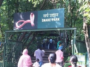 Pune’s Katraj Snake Park Is More Than Just Snakes — 10 Things Visitors Should Know