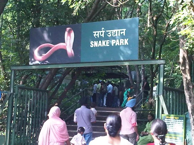 Pune’s Katraj Snake Park Is More Than Just Snakes — 10 Things Visitors Should Know